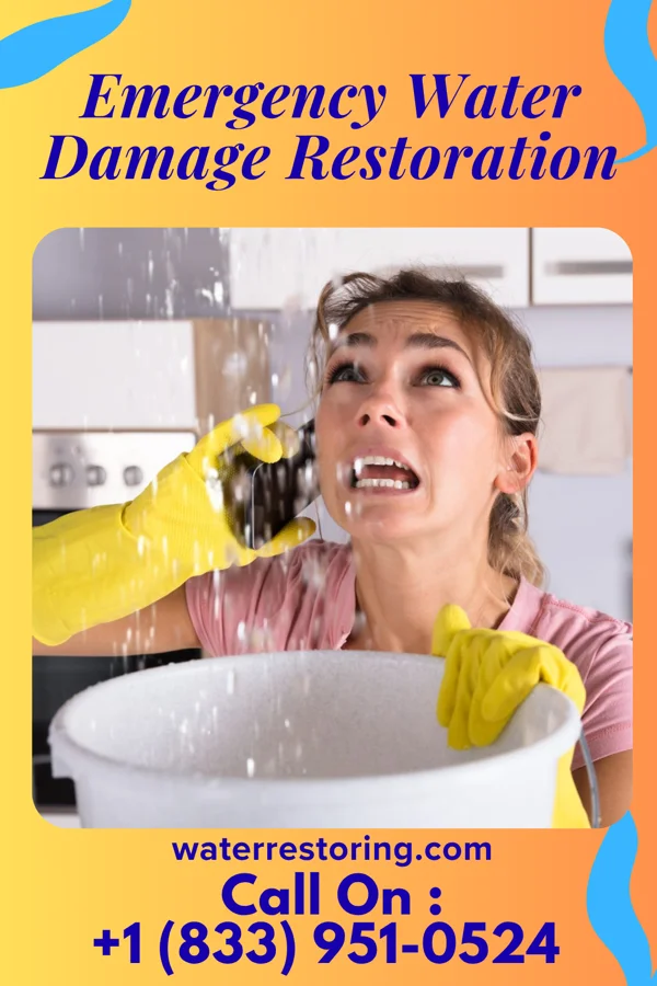 Emergency Water Damage Restoration in Rainier, OR